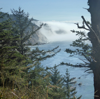 Cape Arago southeast