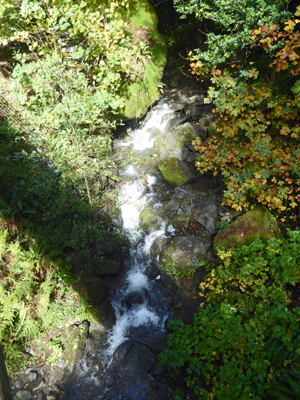 Dry Run Creek