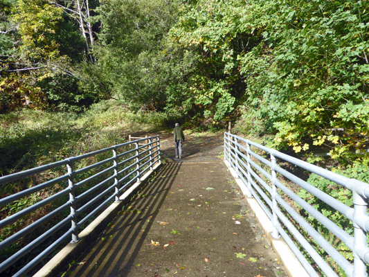 Dry Run Creek bridge Humbug Mt SP