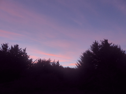 Sunset Cape Blanco SP