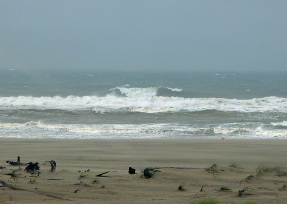 Surf China Beach SP Bandon OR