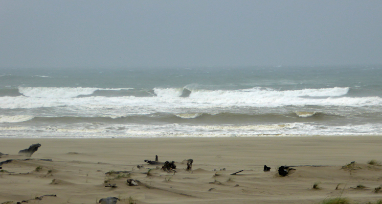 Surf China Beach SP Bandon OR