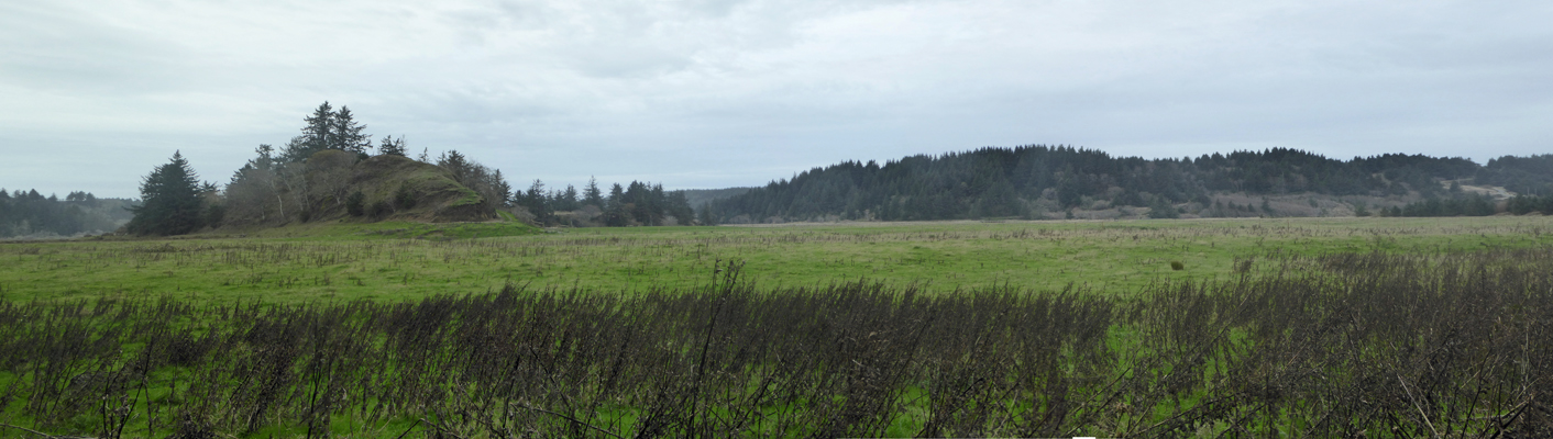 Cape Blanco SP pastureland