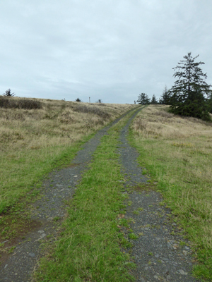 Road to Sixes River