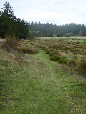 Trail to Sixes River