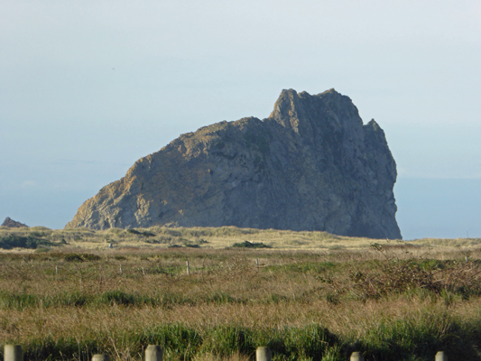 Gull Rock Cape BLanco SP