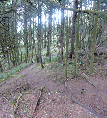 Hughes House Trail Cape Blanco