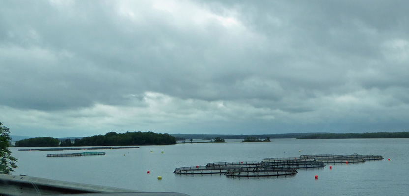 Fishing Weirs