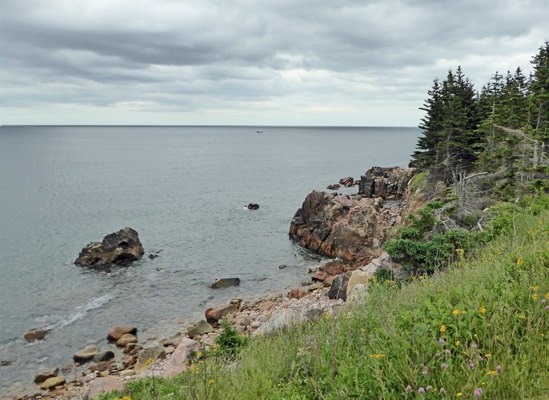 Black Brook Cove