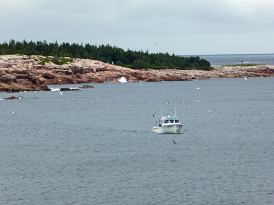 Lobster boat Cape Breton Highlands