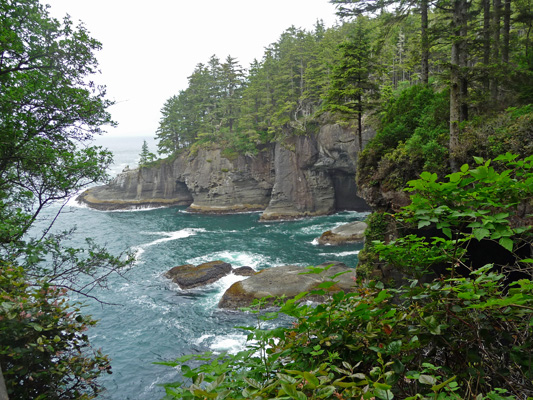 Cape Flattery WA Trail viewpoint