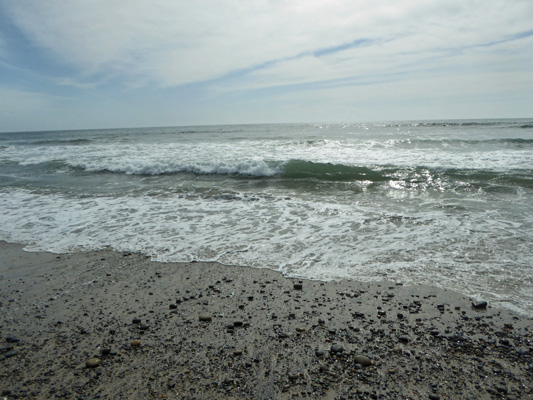 South Carlsbad State Beach