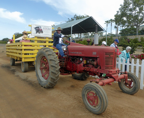 Antique Tractor tram Carlsbad