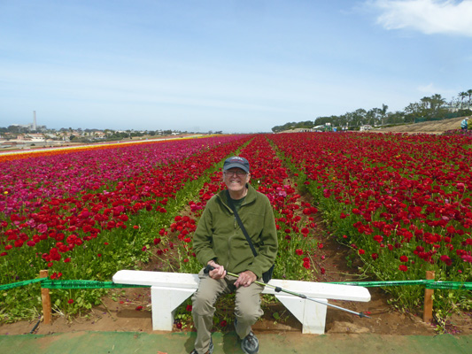 Walter Cooke The Flower Fields