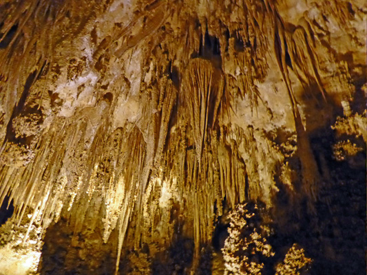 Soda Straws carlsbad cavern