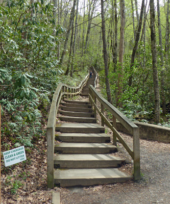 Mingo Falls stairs