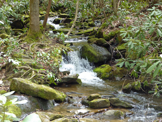 Mingo Falls cascade