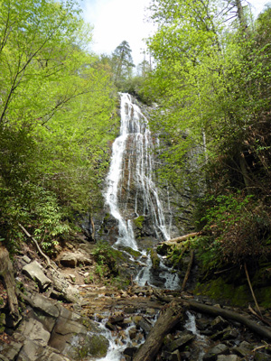 Mingo Falls NC