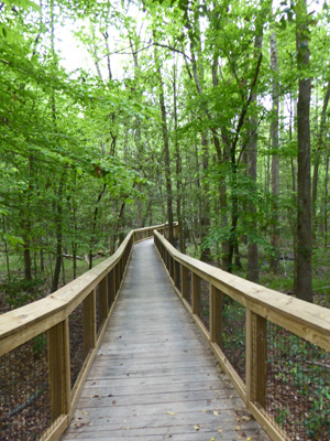 Congaree NP elevated walkway