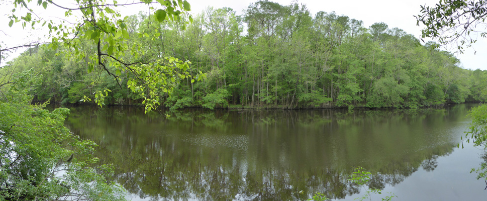 Weston Lake Congaree NP