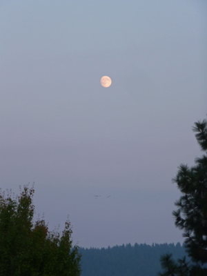 Almost full moon Lake Cascade ID