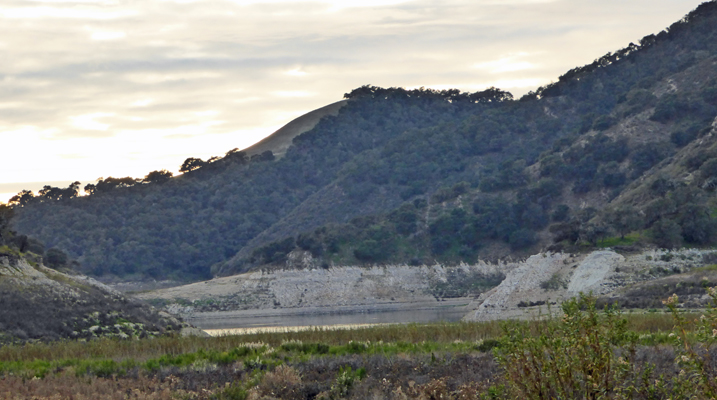 Mallard Bay Lopez Lake CA