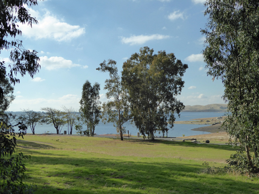 Millerton Lake Meadow Campground view