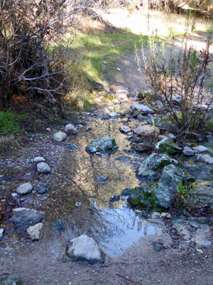 Creek crossing Old Pinnacles Trail