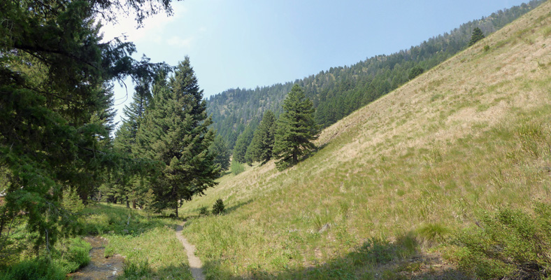 Murdock Creek Trail