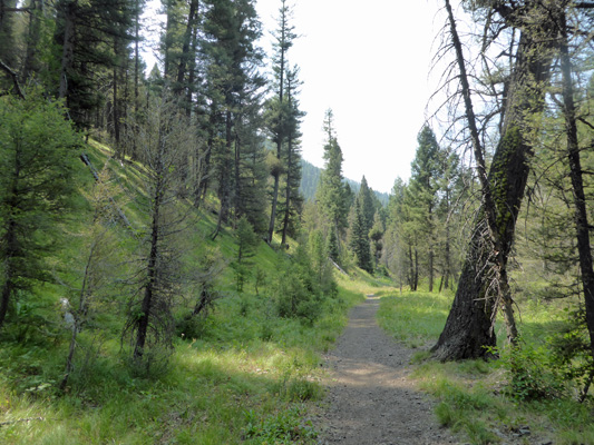 Murdock Creek Trail