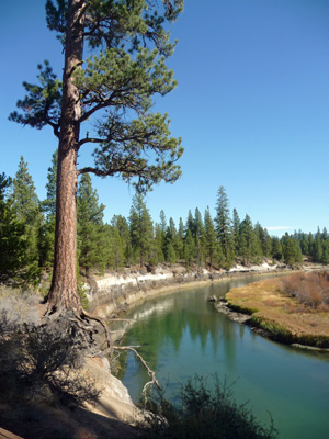 McGregor Viewpoint La Pine State Park OR