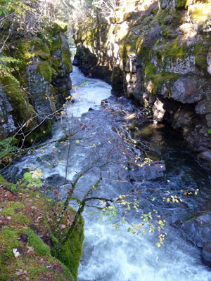 Rogue River Gorge OR