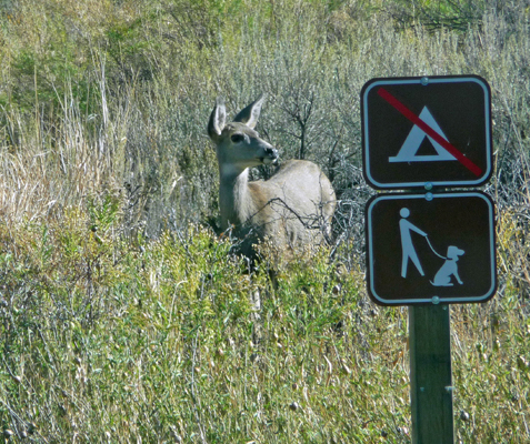 Doe Sun Lakes SP