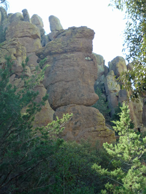 Sea Captain Chiricahua NM