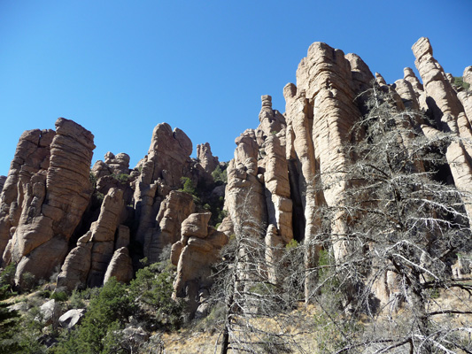 Organ Pipe Formations Chiricahua NM