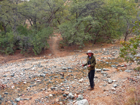 Creek Crossing on Cochise Trail