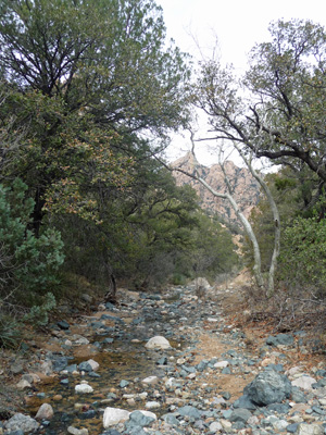 Cochise Trail creek crossing