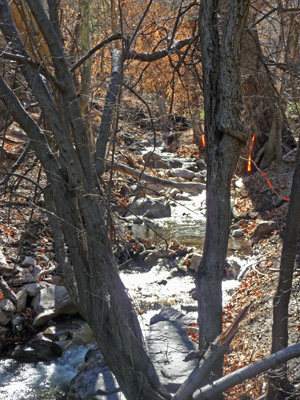 Ramsey Creek Conservation area