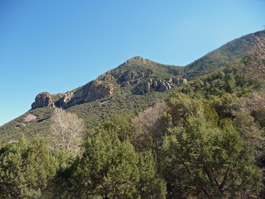 Ramsey Creek Conservation area