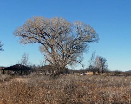 Fremont Cottonwood San Pedro House AZ