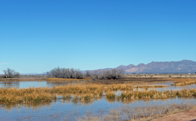 Whitewater Draw State Conservation Area