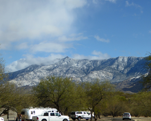 Snow Catalina State Park AZ