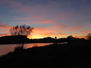 Sunset Cattail State Park