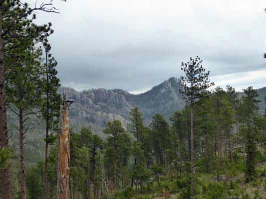 Needles Hwy view