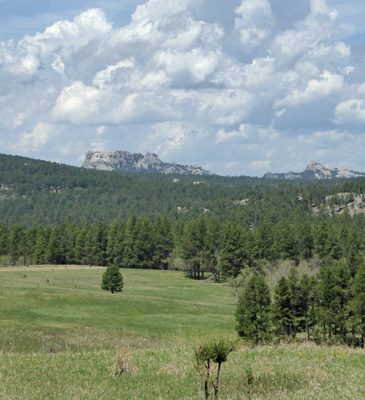 Mount Rushmore