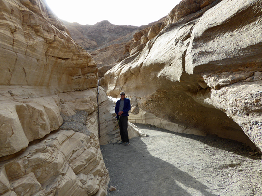 Walter Cooke Mosaic Canyon 2016