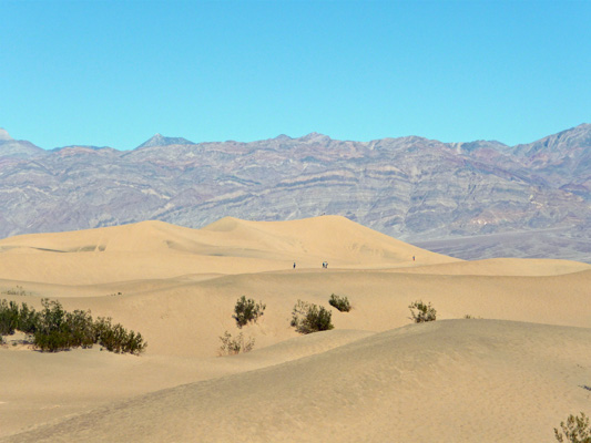 Mesquite Sand Dunes Death Valley