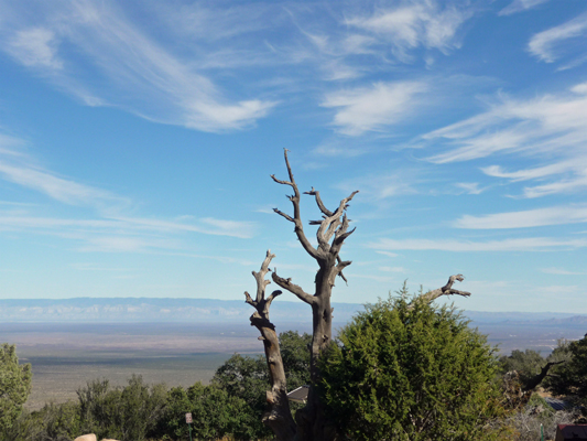 Mesilla Valley from Aguirre Springs NM