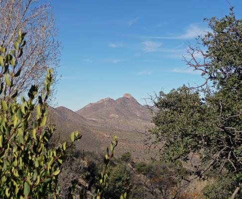 North view Pine Tree Trail NM