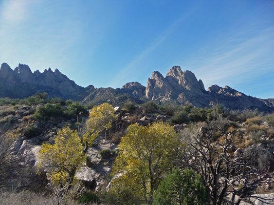 Rabbit Ears from Pine Tree Trail NM